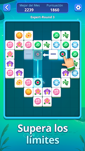 Mahjong Slide: Zen PC