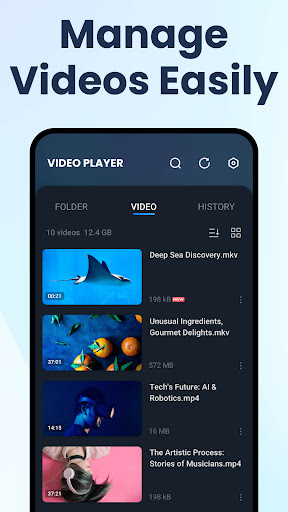 HD Video Player All Format PC
