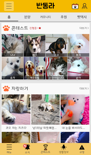 반동라-반려동물,고양이,강아지,유기견후원 PC