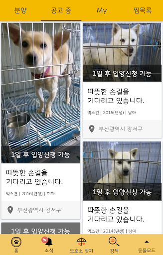 반동라-반려동물,고양이,강아지,유기견후원 PC