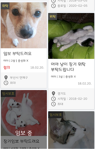 반동라-반려동물,고양이,강아지,유기견후원 PC