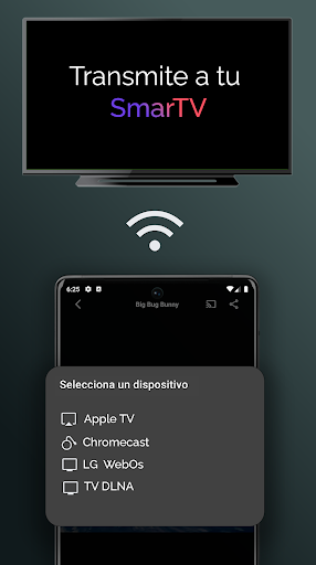 Reproductor MediaX