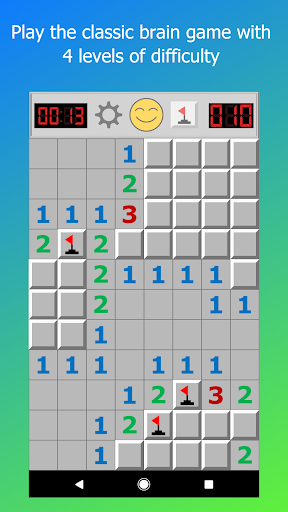 Minesweeper Pro PC