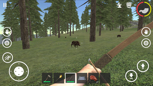 Forest Survival PC