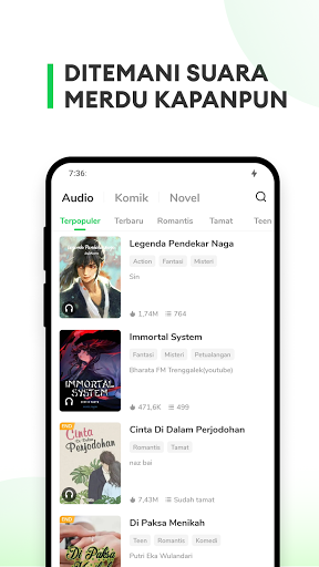 komputer AudioToon: Audio book, Podcast