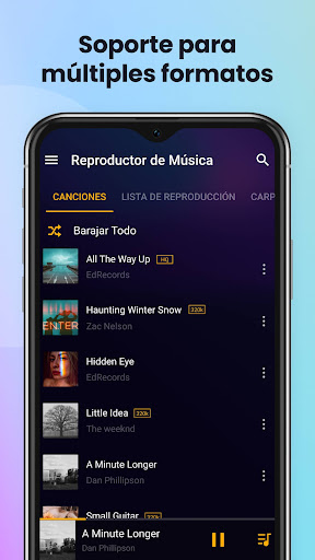 Reproductor de música & MP3 PC