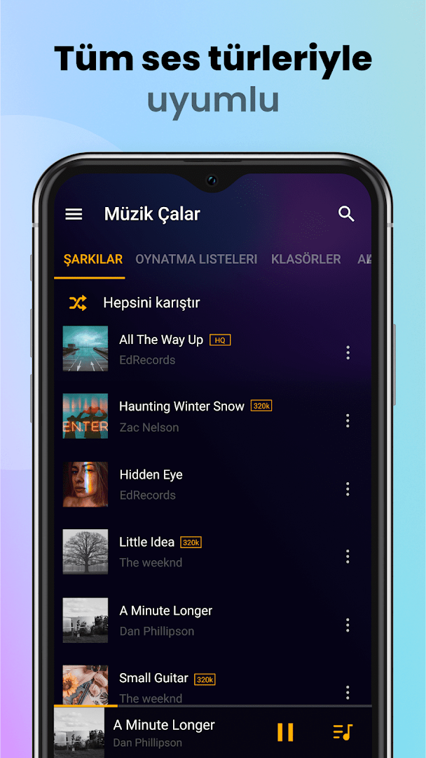 Müzik Çalar - MP3 Çalar PC