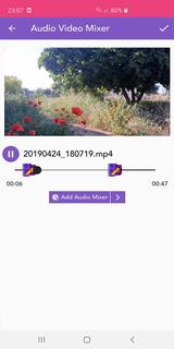 Mix Audio with Video / Crop , PC