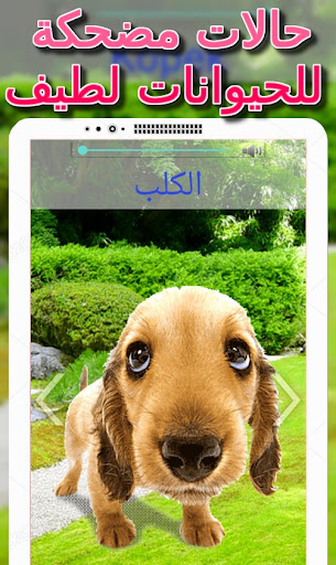 أصوات الحيوانات للأطفال- متحرك الحاسوب
