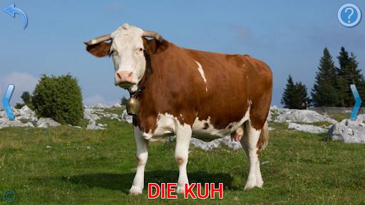 Kinder Tiere - Tiergeräusche