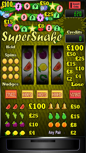 Super Snake Slot Machine PC