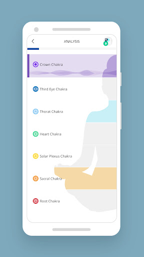 HealAdvisor Analyse 2 PC