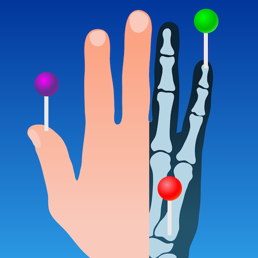 e-Anatomy الحاسوب