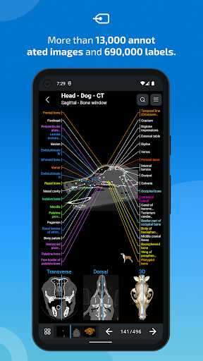 vet-Anatomy الحاسوب