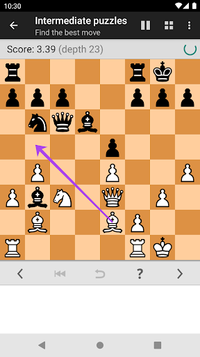 komputer Chess Tactics Pro (Puzzles)