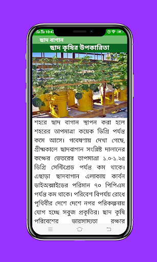 ছাদ বাগান পিসি