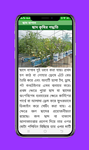 ছাদ বাগান পিসি