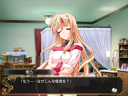 恋する乙女と守護の楯 PC版
