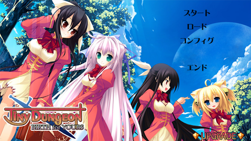 Tiny Dungeon ～BIRTH for YOURS～ PC版