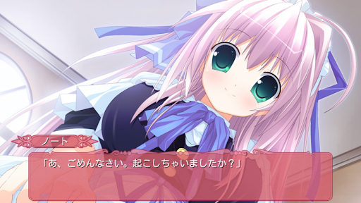 Tiny Dungeon ～BIRTH for YOURS～ PC版