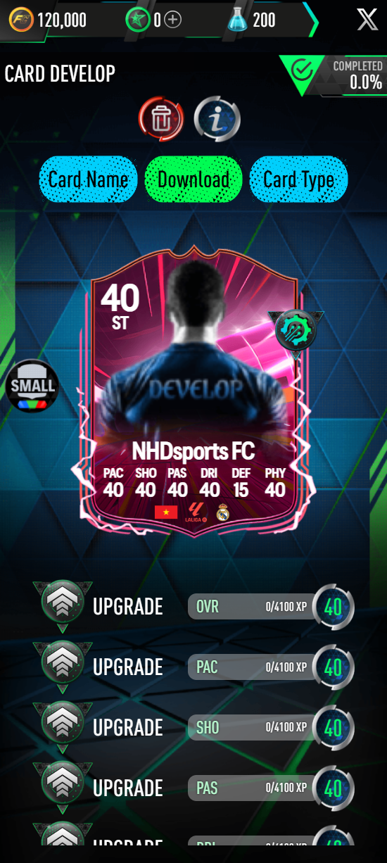 NHDFUT FC 25 Draft PC