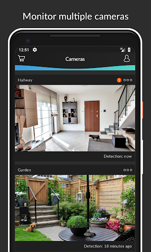 HomeWizard Cameras PC