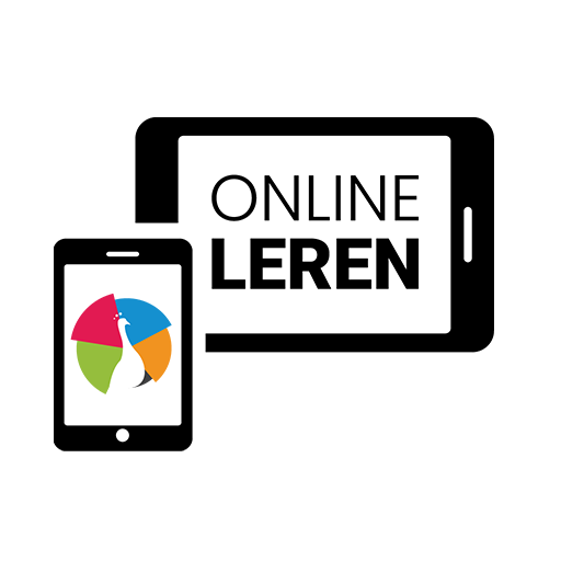Online Leren - KleurRijker