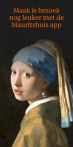 Mauritshuis PC版