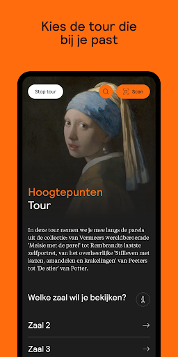 Mauritshuis PC版
