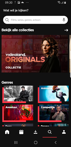 Videoland