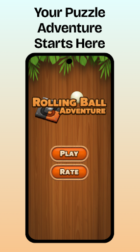 Sliding Rolling Ball Puzzle PC