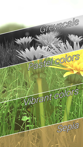 komputer Spring Flowers 3D LWP