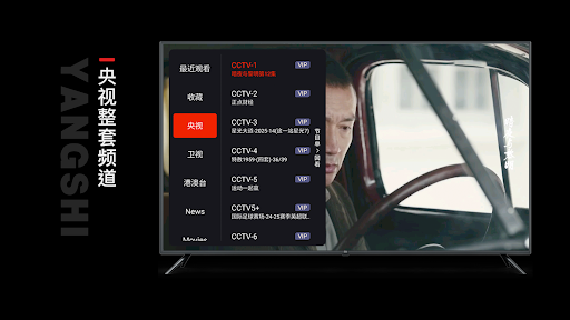 华人TV-电视端大屏看央视卫视港澳台中文电视直播 پی سی