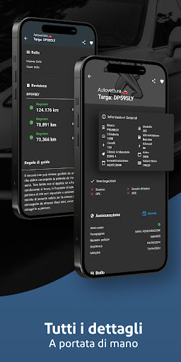 TargApp - Visura targa PC