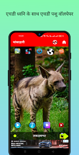 150 जानवरों की आवाज़ PC