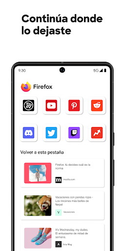 Navegador Firefox PC