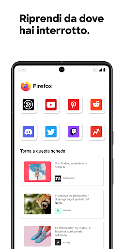 Firefox: il browser riservato