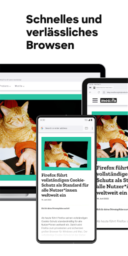 Firefox Browser: sicher surfen