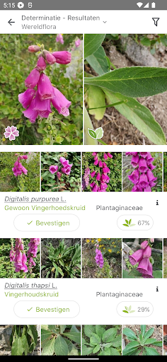 Pl@ntNet plantenidentificatie