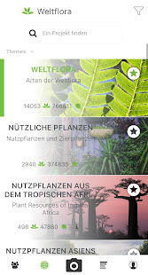 Pl@ntNet Pflanzenbestimmung PC