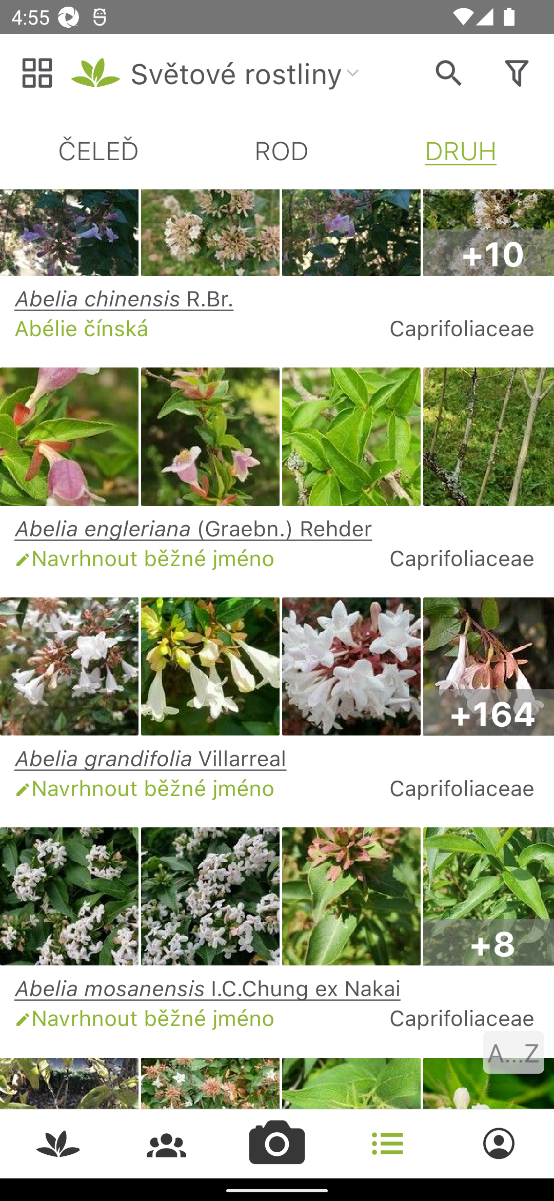 PlantNet určování rostlin PC