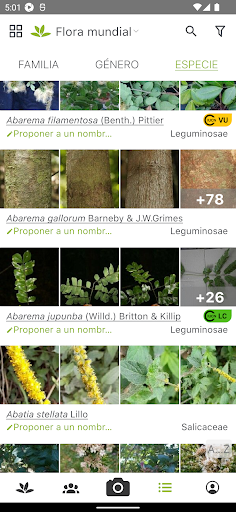 PlantNet Identifica Plantas