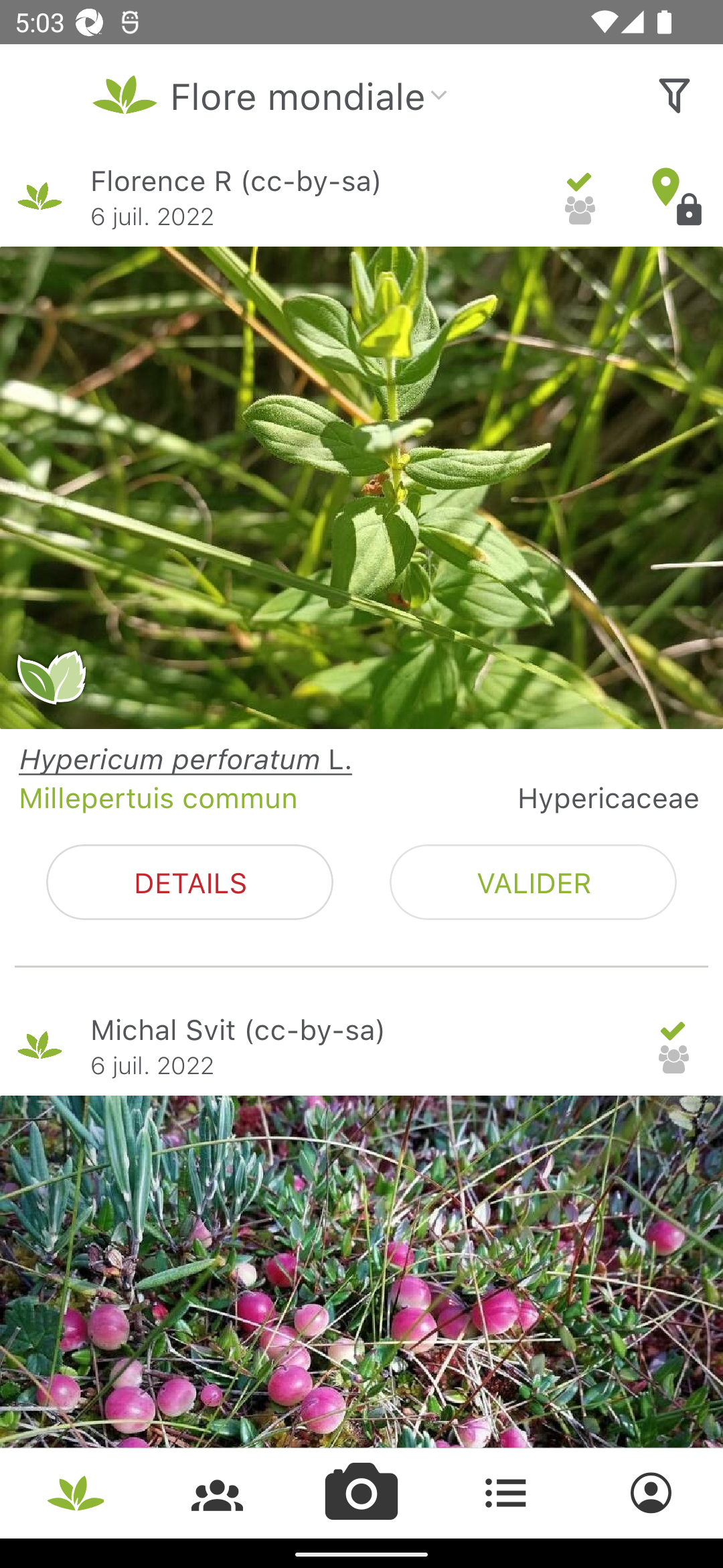 PlantNet Identification Plante PC