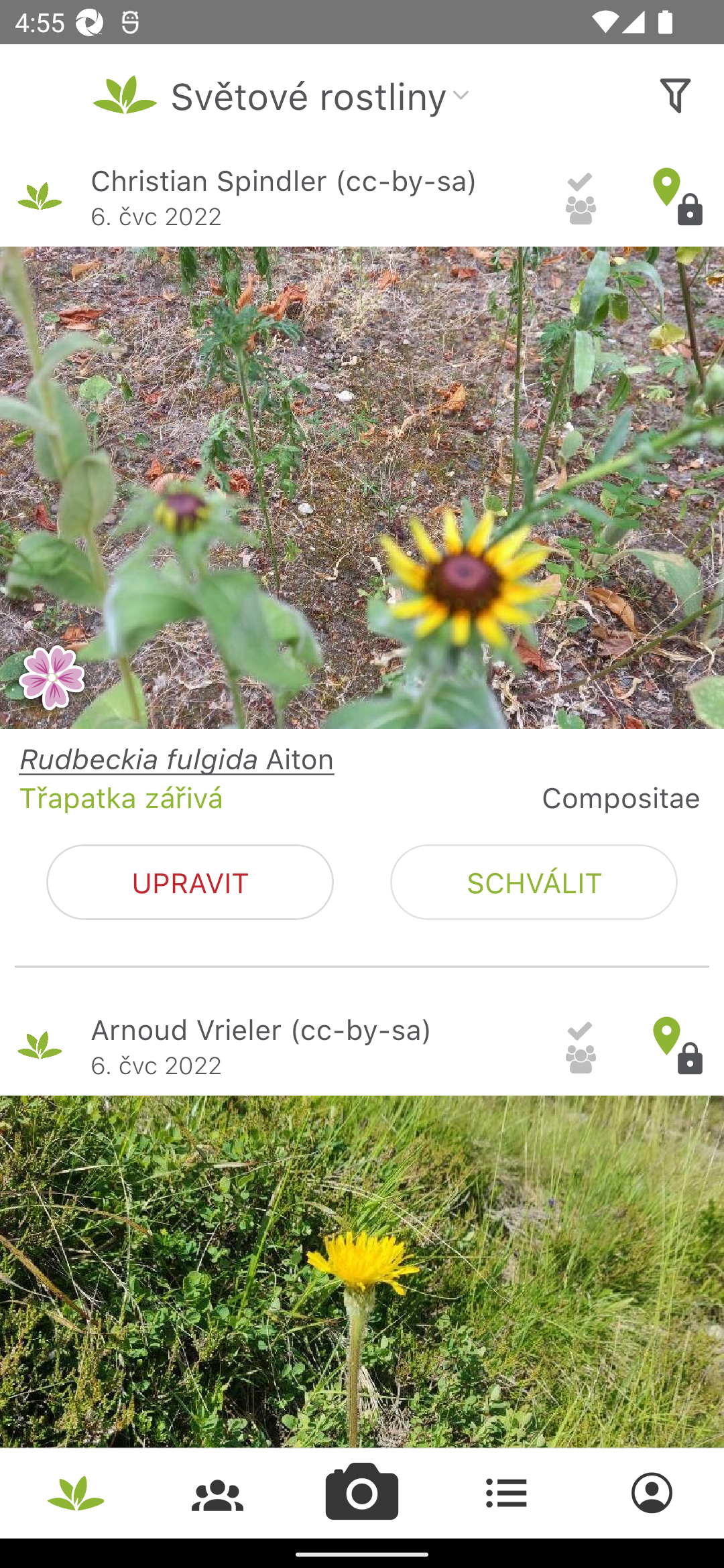 PlantNet určování rostlin PC