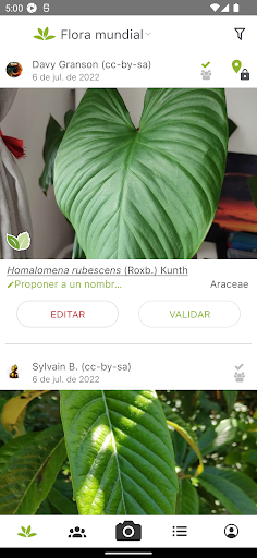 PlantNet Identifica Plantas