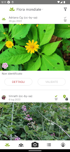 PlantNet Plant Identification