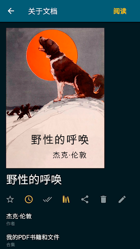 ReadEra – pdf, epub 电子书阅读器电脑版