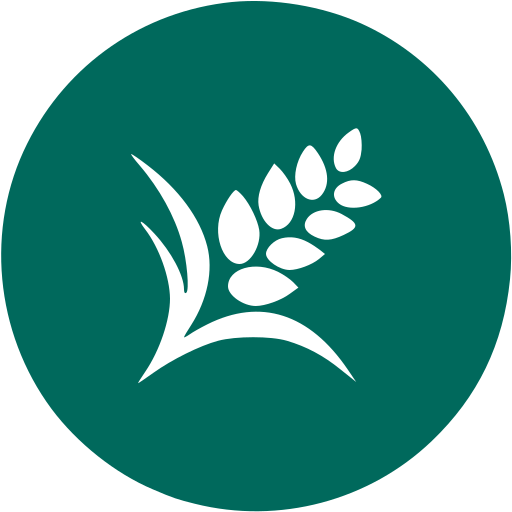 Szénhidrát számoló