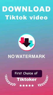 Snap Tik - TT Video Downloader PC