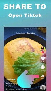 Snap Tik - TT Video Downloader PC